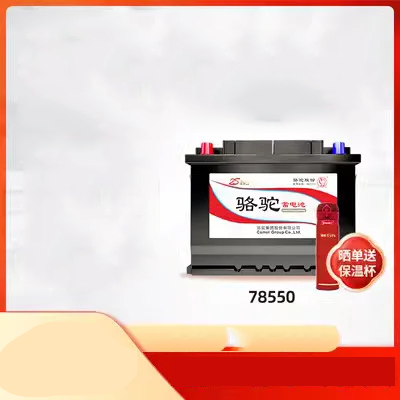 giá binh ac quy oto Pin Camel 55530 phù hợp với Peugeot 307 Chevrolet Cruze mua bán pin xe ô tô bình xe ô tô bình xe hơi